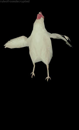Rule_of_Rose_Chicken_1.gif