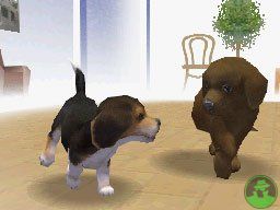 NintendogsMarch14-2005Screenshot9.jpg NintendogsMarch14-2005Screenshot9.jpg