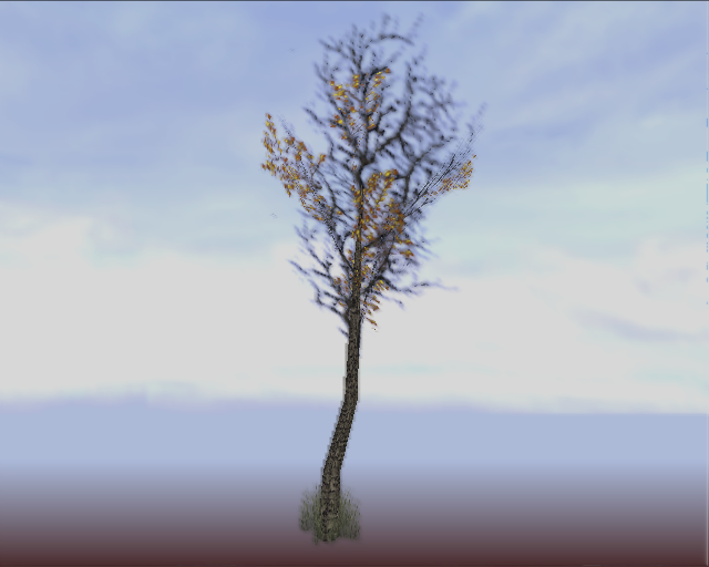 Bully_birch_sml_b.png