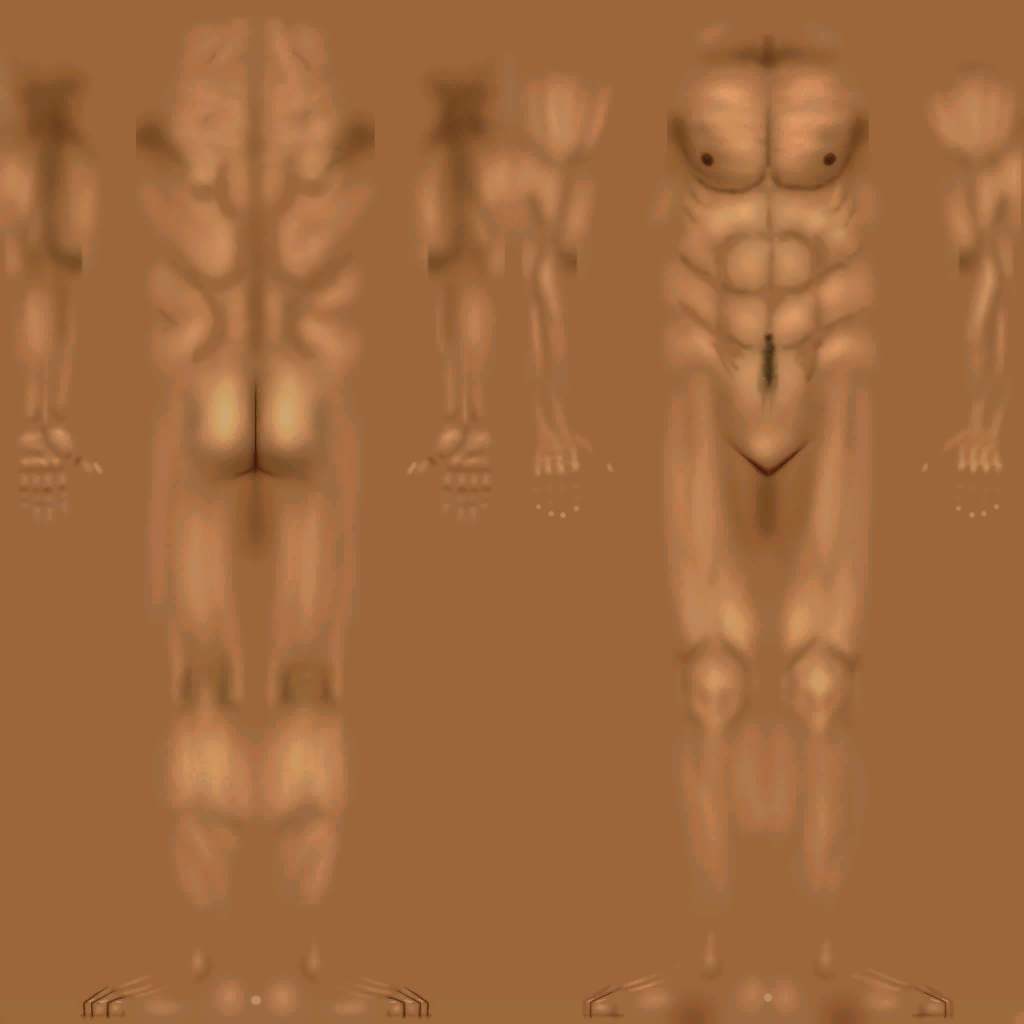 The_Sims_2_NL_Contest_Skin_Adult_Male.png