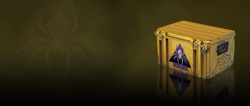 Shattered Web Case Shattered Web Case