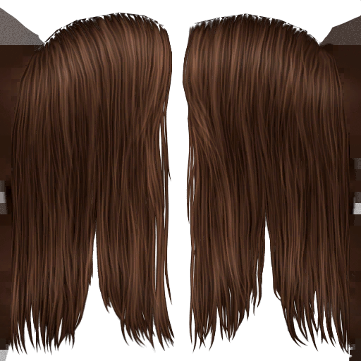 TS2FT_amhairlongsimple-brown0_lifo_512x512.png