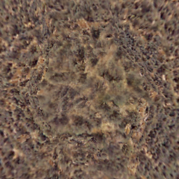 Hldayone_c1a3dn.png Hldayone_c1a3dn.png