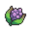 PkmnSwSh_Item_0175.png