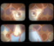 pnm10PS2-mzdmellowM_(3).png pnm10PS2-mzdmellowM_(3).png