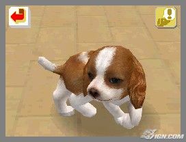 NintendogsFebruary2005Screenshot11.jpg NintendogsFebruary2005Screenshot11.jpg