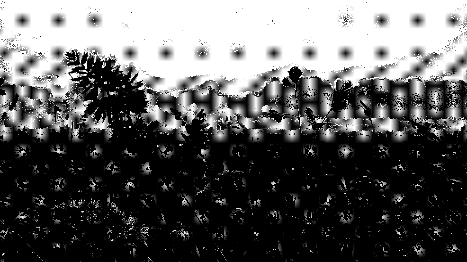 ext_fieldcloseup