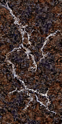 M&M7_protoMarch_C2bS7.png