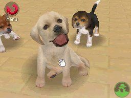 NintendogsJanuary2005Screenshot4.jpg NintendogsJanuary2005Screenshot4.jpg