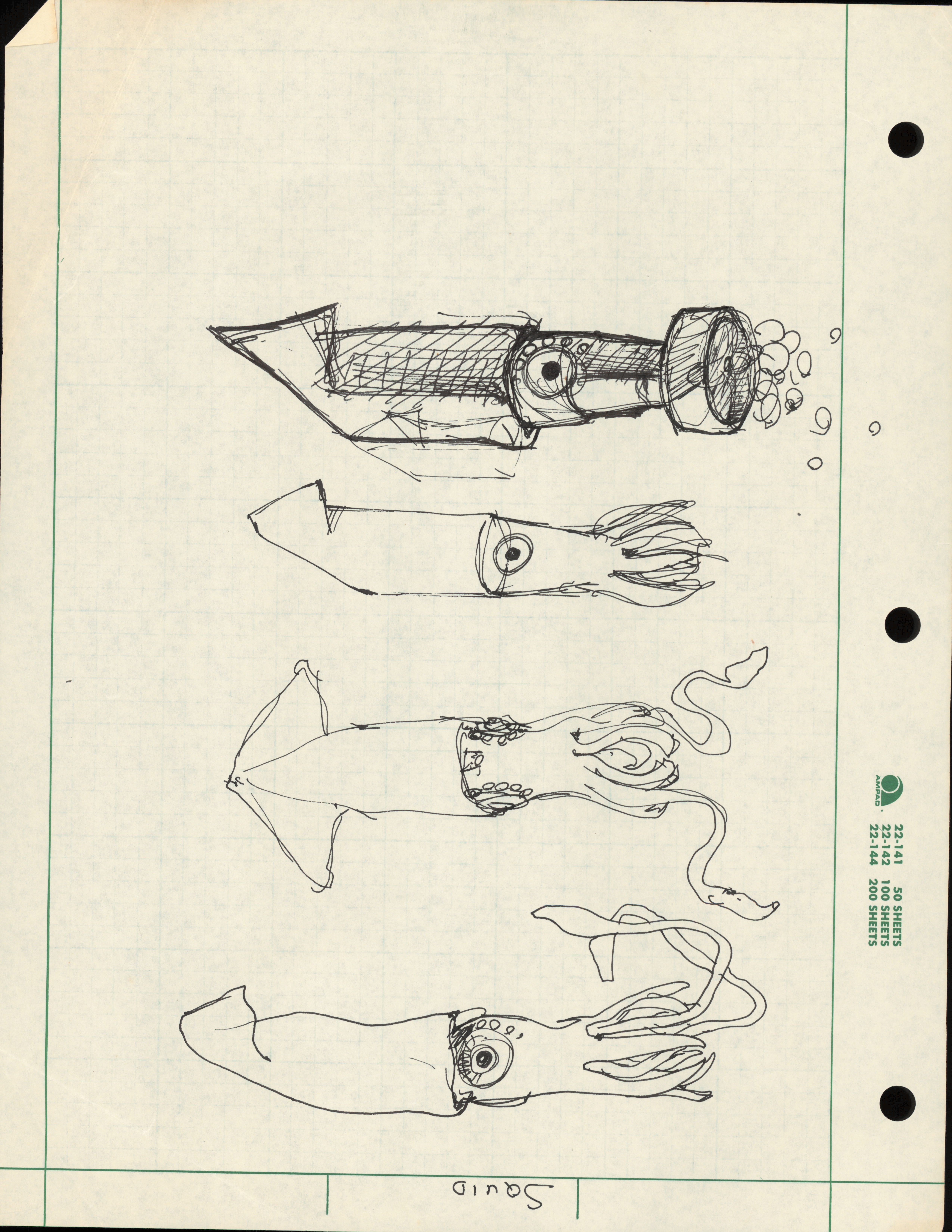 Squid Squid