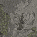SotC_E35D-slow_g3.png
