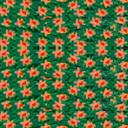 flower_garden_1.rgb