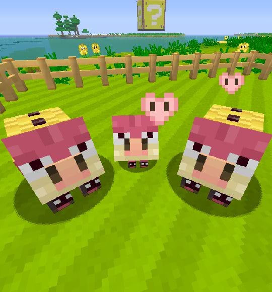 Mario_Mashup_unused_image.jpeg
