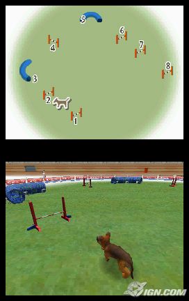 NintendogsMarch9-2005Screenshot1.jpg NintendogsMarch9-2005Screenshot1.jpg