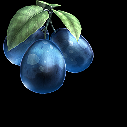 The Oxygen Fruit, which never gets added to your inventory. The Oxygen Fruit, which never gets added to your inventory.
