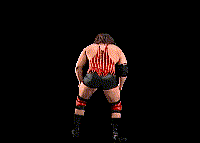 wwfwrestarc-A2PJ2B.gif