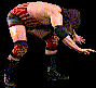 wwfwrestarc-A3BF3A.gif