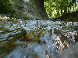 nature05 nature05