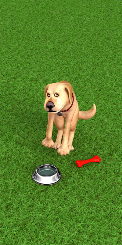 JohnDog-A25_02_-219.png