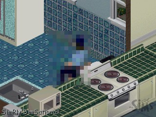 Ts1_simwebcam029.jpg Ts1_simwebcam029.jpg