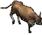 dispel-cow-walk.gif