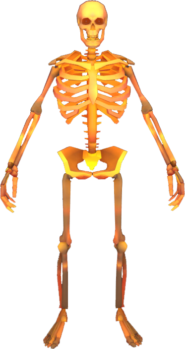 Orange skeleton. Orange skeleton.