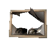 A portrait version of the funny painting, broken.