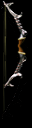 bow_038 bow_038