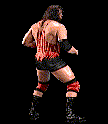 wwfwrestarc-A2PU3D.gif