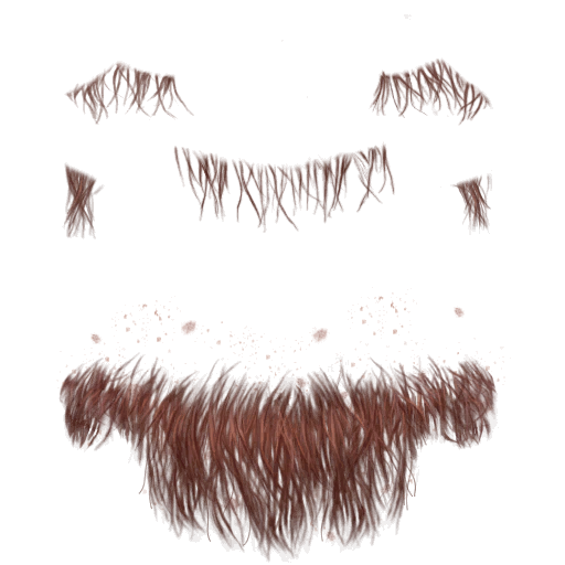 TS2BV_amhairbaldancient-brown0_lifo_512x512.png