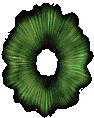Diablo2_AuraThorns.gif Diablo2_AuraThorns.gif