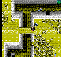 Sweet_Home_Proto_Courtyardironkey1.png