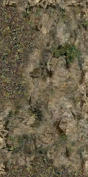 DungeonSiege2-b_t_for01_wal_04x08-d.png DungeonSiege2-b_t_for01_wal_04x08-d.png