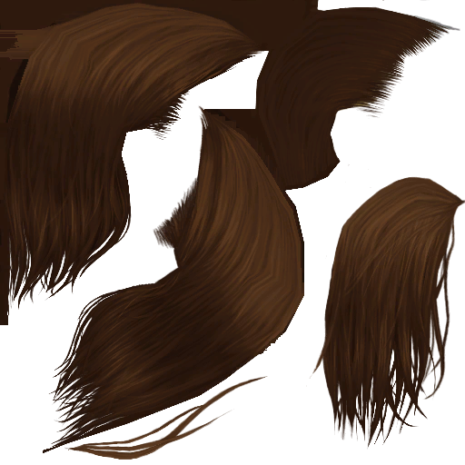 TS2FT_amhairlongbangs-brown0_lifo_512x512.png