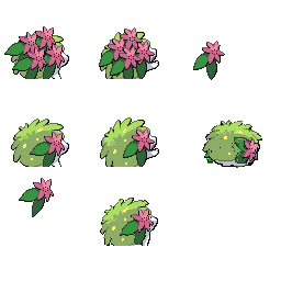 pmpl_516_back_flower_r802.png pmpl_516_back_flower_r802.png