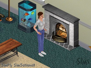 Ts1_simwebcam026.jpg Ts1_simwebcam026.jpg