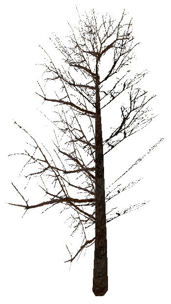 tree_noleavesv01.mdl tree_noleavesv01.mdl