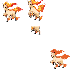 pmpl_078_frnt_m_r802.png pmpl_078_frnt_m_r802.png