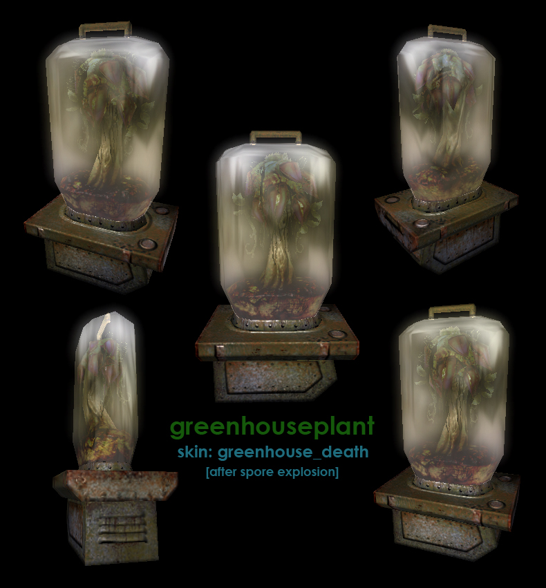 Greenhouse plant (dead). Greenhouse plant (dead).
