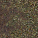 DungeonSiege-b_t_for02_pth_04x04-b.png