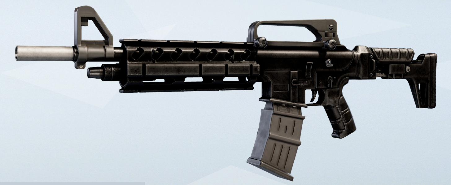 Extended Barrel