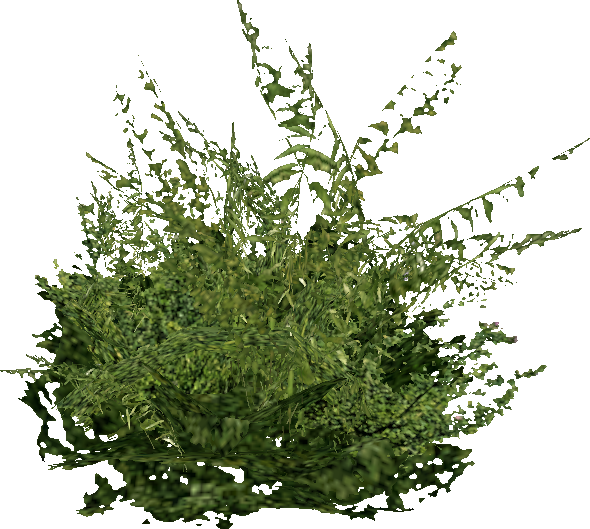 CSS_bushgreensmall.mdl.png