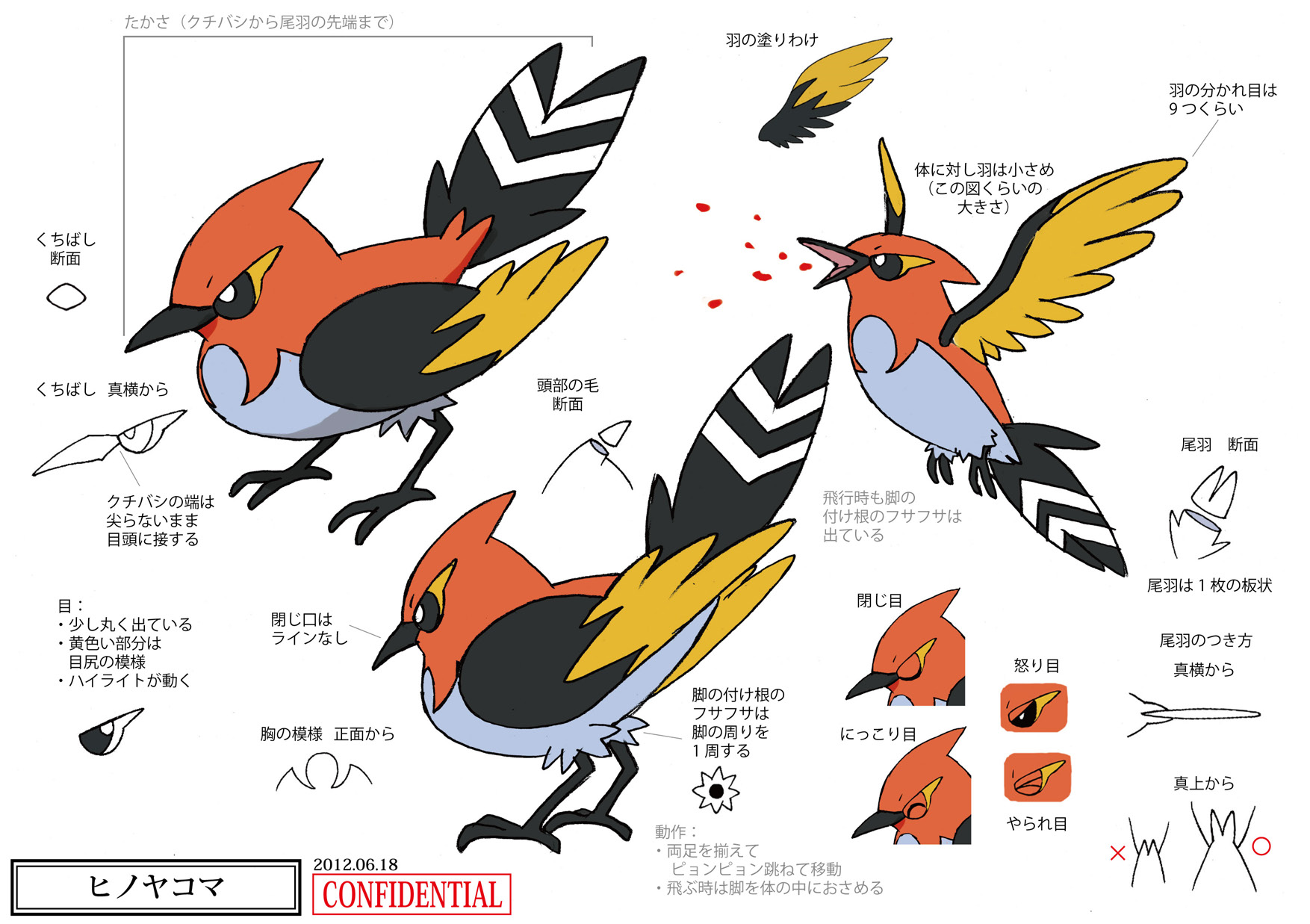 PokeXY_ConceptArt_ヒノヤコマ_三面図.png