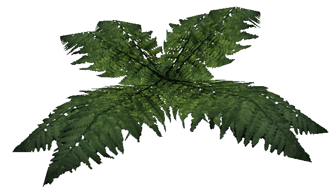 bush_fern_small_ground.mdl bush_fern_small_ground.mdl