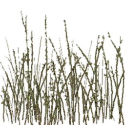 CMR3_PS2_TEMP_GR_GM.png