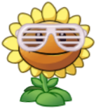 Window Blind Glasses Window Blind Glasses