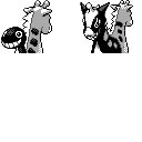 PM2B_203.CBB.w128.png