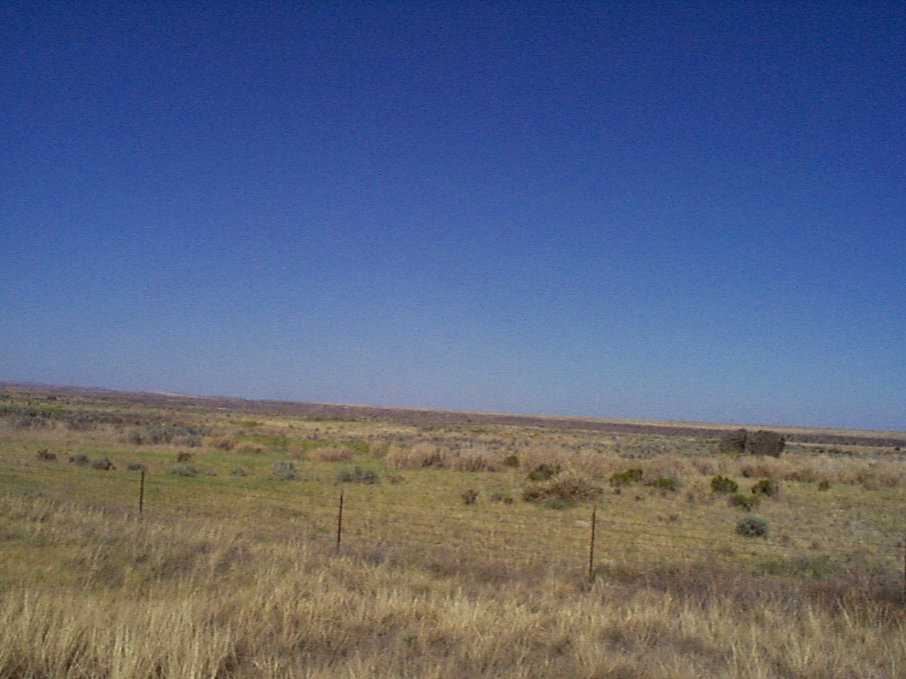 desert12 desert12