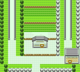 PokemonGSC_ROAD5.FLD_early.png