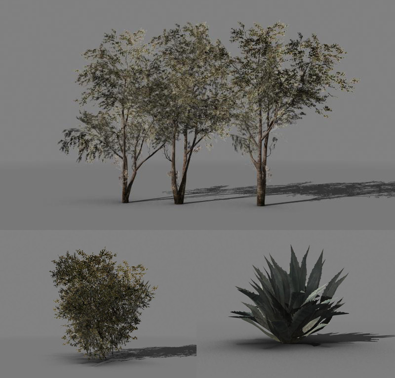NFSPS-luke-villanueva-trees.jpg NFSPS-luke-villanueva-trees.jpg